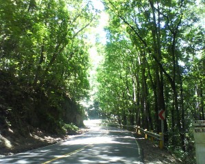 dsc00017