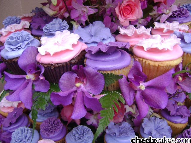 chedzcakes cupcakes chedzcakes cupcakes