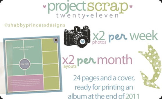 sp_BLOG_projectscrap2011_graphic1
