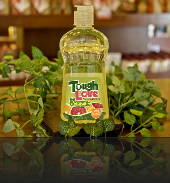 ToughLove Dishwashing Liquid HN