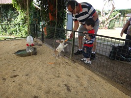 DSC01070