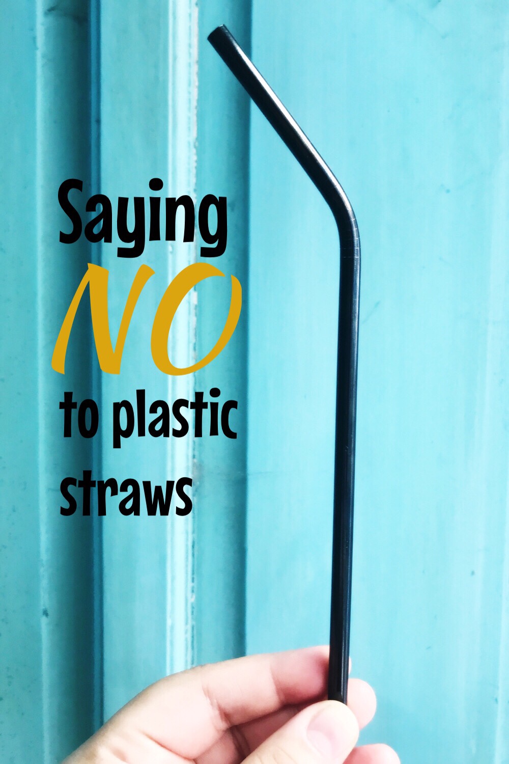 Saying NO to Plastic Straws Stitches & Words